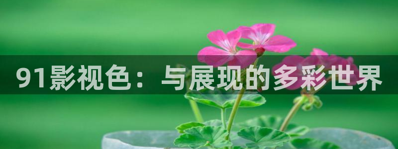 6080青苹果电影院