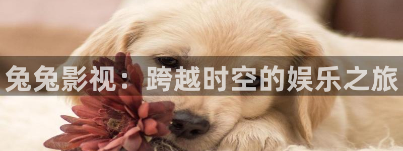 青苹果电台