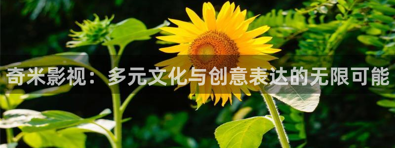 青苹果影院