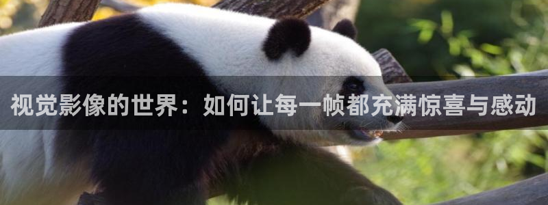青苹果乐园影院免费观看电视剧