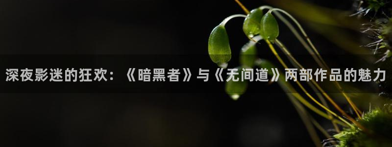 青苹果私人影院手机版