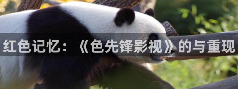 yy6080新视觉青苹果影院
