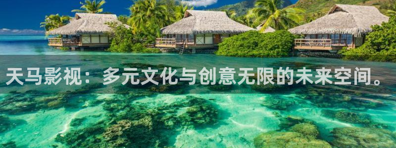 奇领yy6080青苹果影院